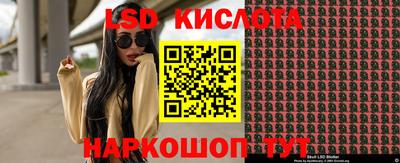 гидра Нальчик