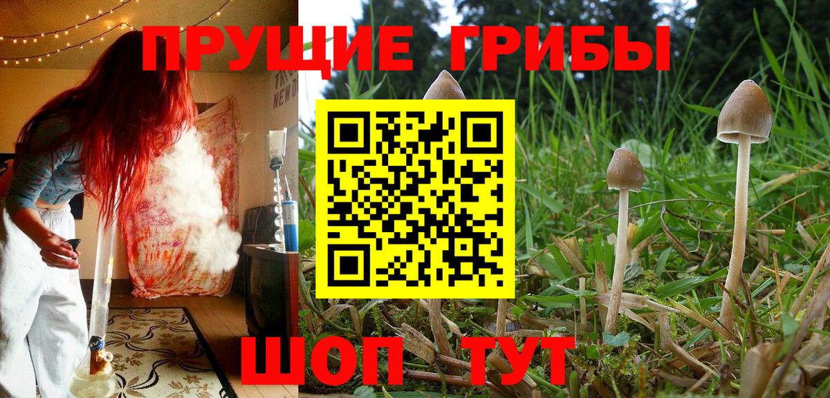 Псилоцибиновые грибы мухоморы Новодвинск
