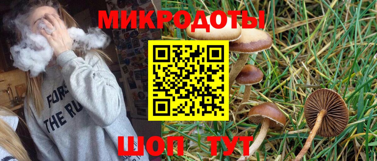 Псилоцибиновые грибы мицелий  Псилоцибиновые грибы MAGIC MUSHROOMS  как найти наркотики  Новодвинск  Вход с VPN 